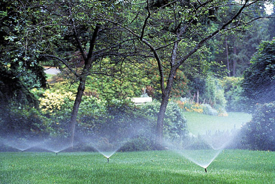 entretien jardin - installation arrosage automatique cannes- micena jardin